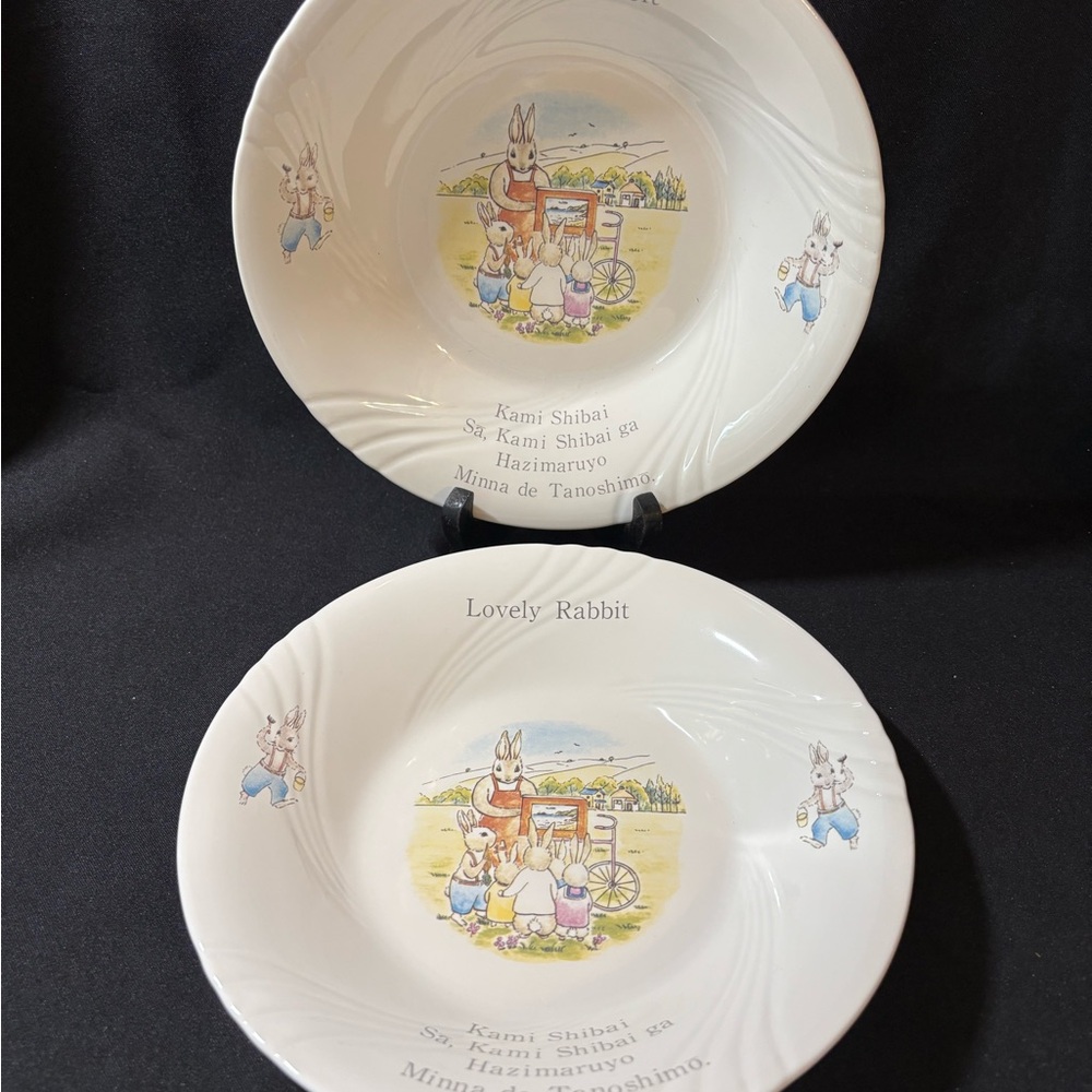 Vintage Lovely Rabbit Bowl Set of 2 Royal Porcelain Japan Beatrix Potter 8"